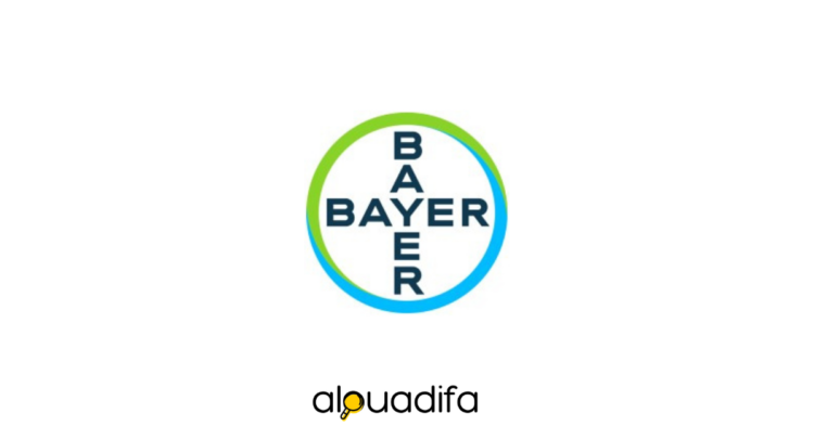 Bayer recrute