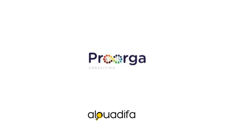 proorgaconsulting recrute