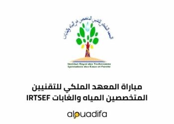 IRTSEF