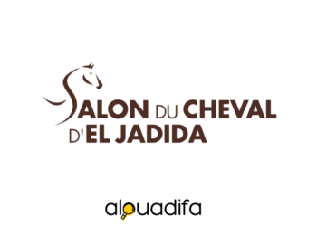 Salon Du Cheval recrute