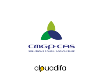 cmgp recrute