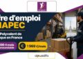 Agent Polyvalent de Logistique