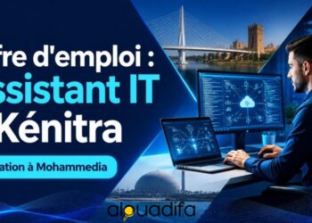 Assistant IT