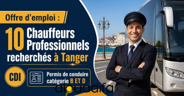 Chauffeurs Professionnels