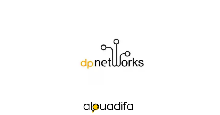 D P NETWORKS recrute