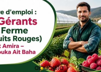 Offre d’emploi : 3 Gérants de Ferme recherchés à Aït Amira | Fruits Rouges alwadifa