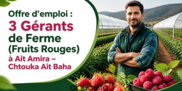 Offre d’emploi : 3 Gérants de Ferme recherchés à Aït Amira | Fruits Rouges 1 alwadifa