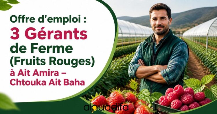 Offre d’emploi : 3 Gérants de Ferme recherchés à Aït Amira | Fruits Rouges alwadifa