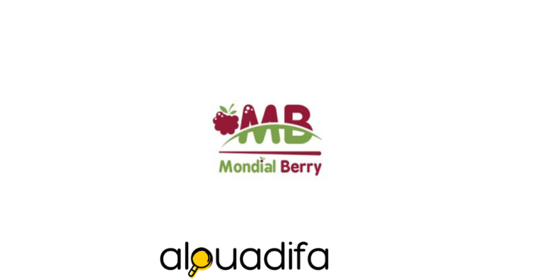 Mondial Berry recrute