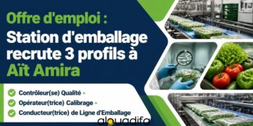 Station d’Emballage à Aït Amira : Recrutement de 3 Profils 4 alwadifa