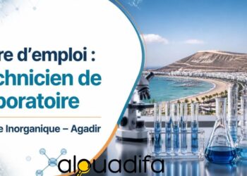 Offre d’emploi : Technicien Laboratoire – Chimie Inorganique à Agadir alwadifa