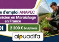 Technicien en Maraîchage