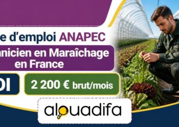 Technicien en Maraîchage