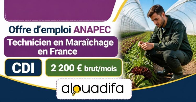 Technicien en Maraîchage