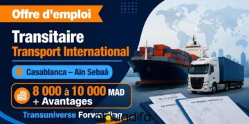 Transuniverse Recrute