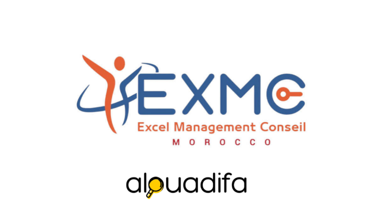 Offre d’emploi Data Analyst