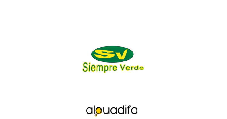 siempreverdegroup recrute
