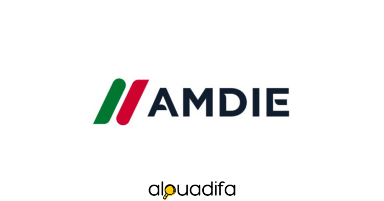 Agence Marocaine de Développement des Investissements et des Exportations (AMDIE)