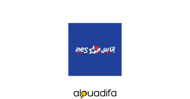 Emploi INES