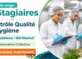 Stagiaires Contrôle Qualité
