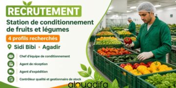 Station de Conditionnement Fruits