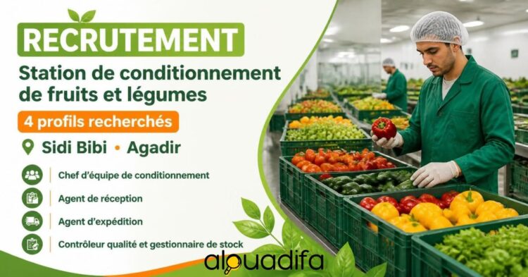 Station de Conditionnement Fruits