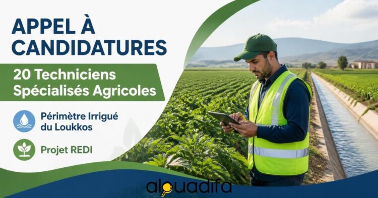 Techniciens Spécialisés Agricoles
